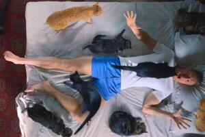 Love In The Villa o Romance en Verona Netflix escena gatos (2).jpg