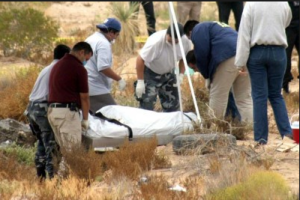 Veracruz figura como uno de los cinco estados con más desapariciones en México. Allí el Colectivo Solecito Veracruzano, ha encontrado más de 40 fosas clandestinas. 