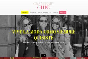 www.csschile.com__0.jpg