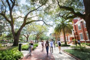 Universidad de Florida
