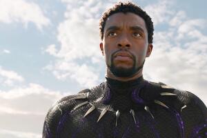 Black Panther T'Challa Marvel MCU.jpg