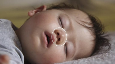 No Hay Pruebas Que Demuestren Que Un Nino De 2 Anos Murio Despues De Usar Vicks Vaporub Noticias Univision Salud Univision No Hay Pruebas Que Demuestren Que Un Nino De 2 Anos Murio Despues De Usar Vicks Vaporub Noticias Univision Salud Univision