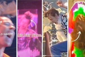 harry_styles_calvo_collage.jpg