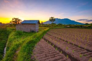Popocatépetl y otros volcanes más peligrosos del Cinturón de Fuego