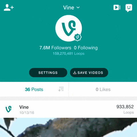 Vine