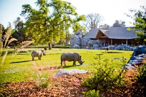 Chaffee Zoo.jpg