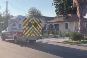 perro ataque niño mordido pitbull San Antonio Texas