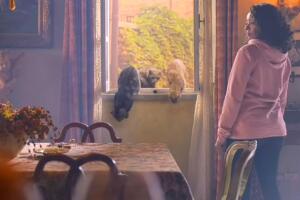 Love In The Villa o Romance en Verona Netflix escena gatos (1).jpg