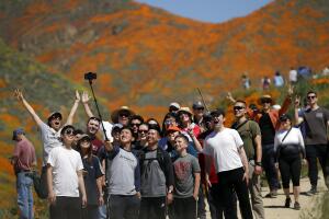 Super Bloom Shutdown