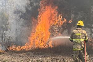 INCENDIO-HUNTSVILLE.jpeg