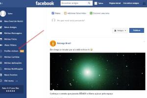 Facebook Flat
