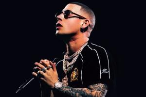 El artista enfrenta historial legal por violencia doméstica y un caso de atropello de caballos.