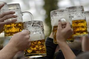 cervezas