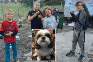 Familia sin hogar cuida a perrito robado