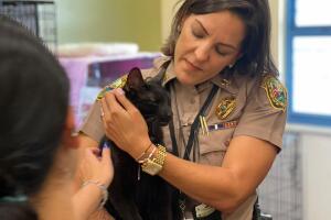 miami dade police.jpg