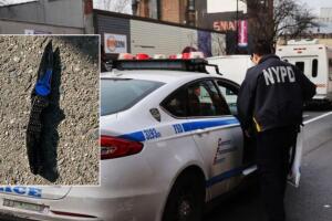 disparan oficial NYPD manhattan nueva york