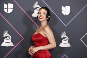 22nd Annual Latin GRAMMY Awards - Press Room