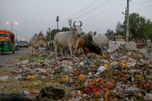 INDIA-ENVIRONMENT-POLLUTION