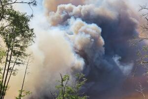 incendios en Georgia - vertical
