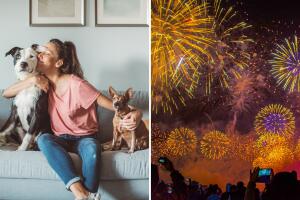 El estallido de pirotecnia puede resultar en una situación traumática para algunos animales, principalmente los perros. Es por eso que un grupo de expertos nos da recomendaciones para disminuir la ansiedad y el estrés que los fuegos artificiales con motivo del 4 de julio pueden causar en nuestros amiguitos.