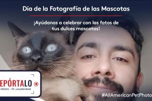Comparte Repórtalo Noticias 23 Miami fotos mascotas 