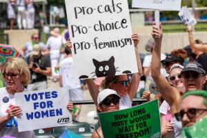 madres, padres, mujeres con gatos, voto, Enmienda 4, Florida