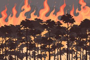 Riesgos del humo por incendios forestales: Guía práctica para proteger a tu familia