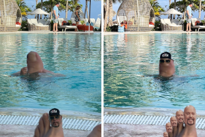 collage_perro_bermudez_twitter_3