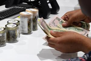 Marihuana dispensario