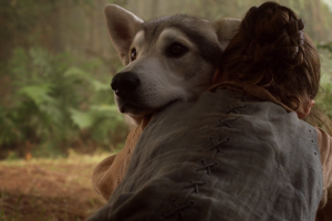 Arya-loba-huargo-got