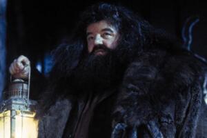 hagrid-robbie-coltrane-1022-1400x800