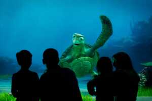 Turtule Talk with Crush 2.jpg