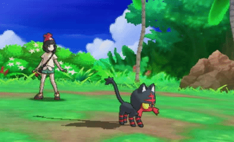 Litten Starter