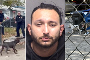 perros-matan-anciano-San-Antonio-Ramon-Najera