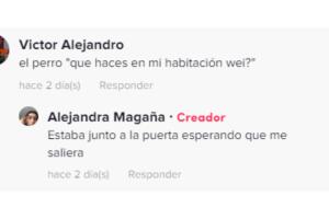Alejandra Magaña cuenta a internautas la reacción de su perro al verla
