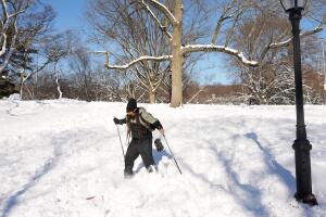 Tormenta invernal 2026: entre las 10 más grandes de la historia en Central Park.