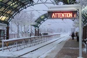 Dart winter