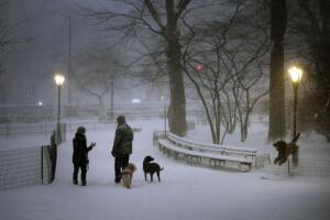NY amanece totalmente blanca por tormenta de nieve
