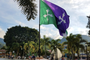 Adjuntas.jpg