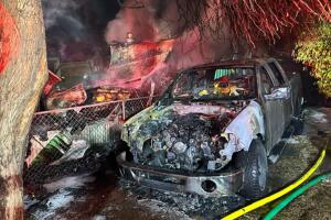 incendio phoenix 1.jpg