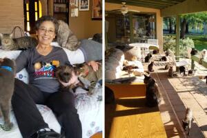 collage_The Cat House On The Kings.jpg