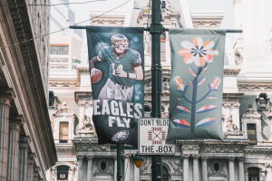 Fly Eagles Fly 