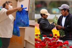 Inmigrante trabajador