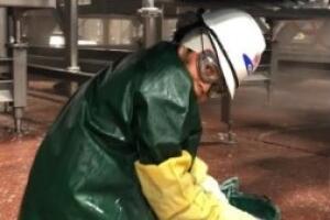 Menor trabajo planta procesadora carne