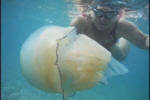 Una selfie con medusas