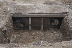 Mexico - ciencia para la búsqueda de desaparecidos