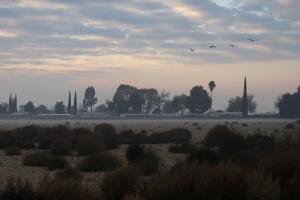 California's Central Valley Impacted By Major Drought