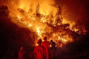 California Wildfires