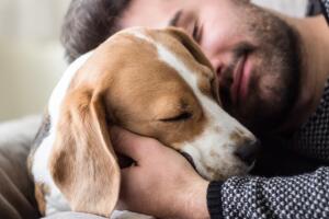 Perro con hombre