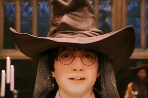 Harry Potter con el sombrero seleccionador.jpg